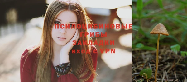 стафф Вяземский