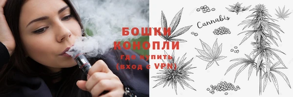 стафф Вяземский