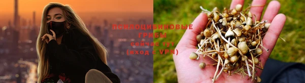 MESCALINE Вязники