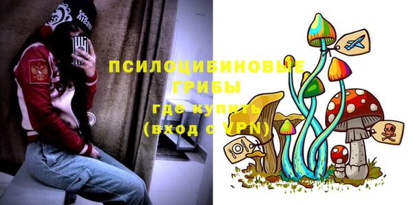 стафф Вяземский