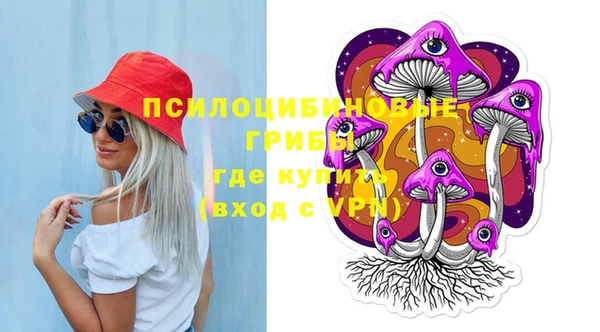 мяу мяу мука Горно-Алтайск