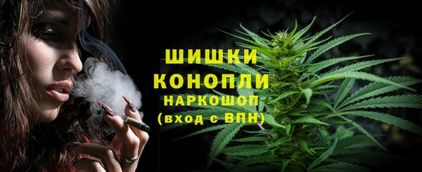 стафф Вяземский