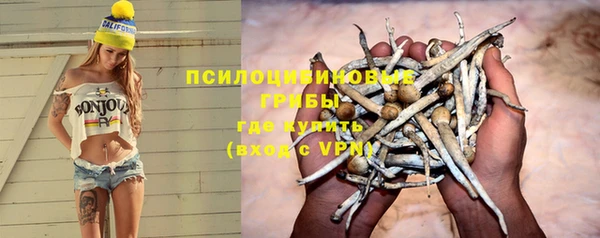 мяу мяу мука Горно-Алтайск
