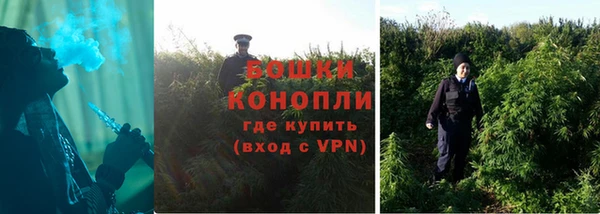 мяу мяу мука Горно-Алтайск