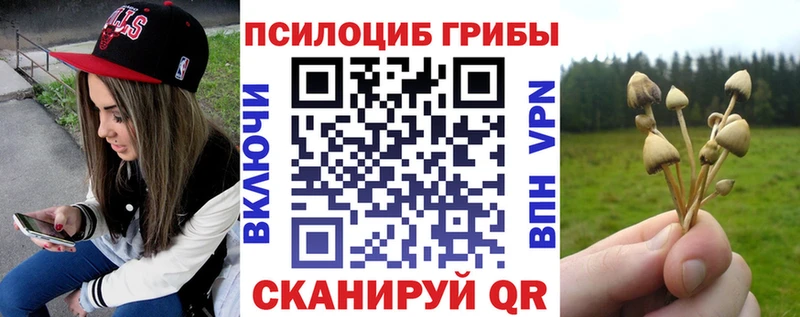 Галлюциногенные грибы прущие грибы  Заринск 